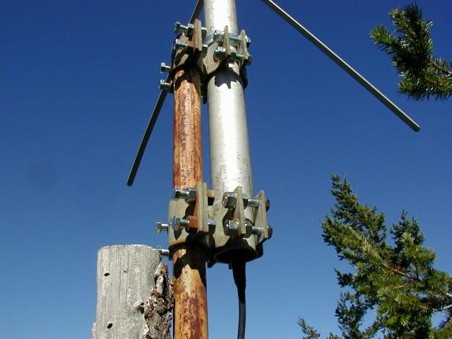 Picture showing sturdy tree top antenna mount